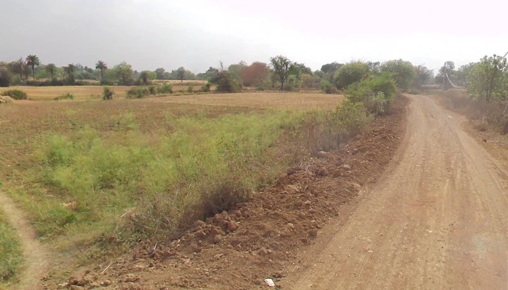 Newsa, Chhattisgarh 495442, India