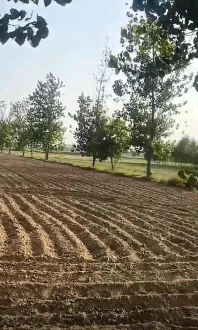 PVHQ+8X Upeda, Hapur, Uttar Pradesh, India preview 3