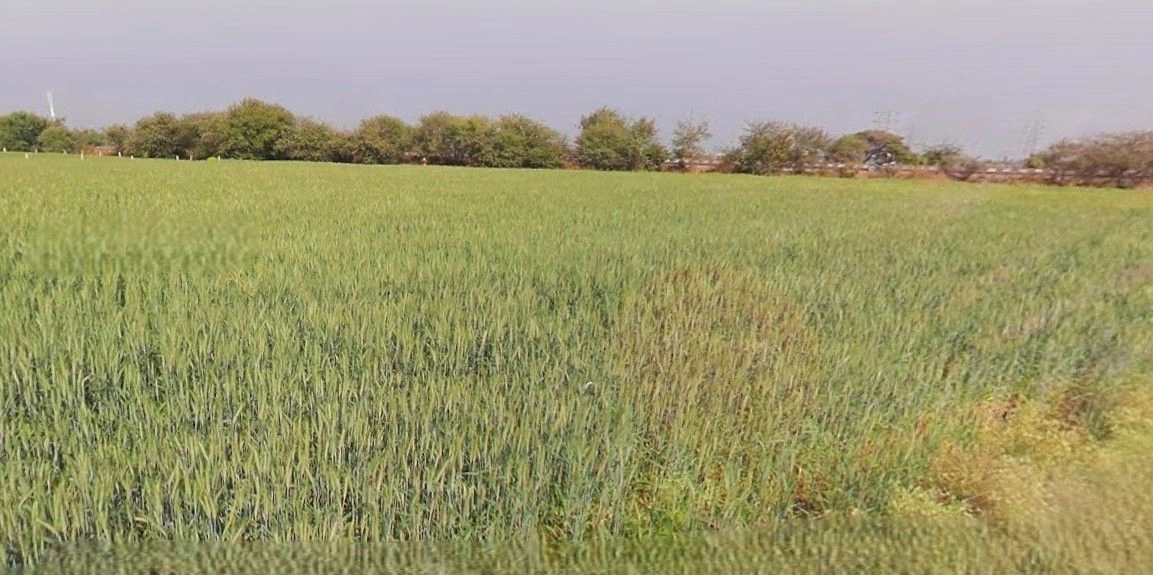 Anupgarh, Rajasthan 335701, India preview 3