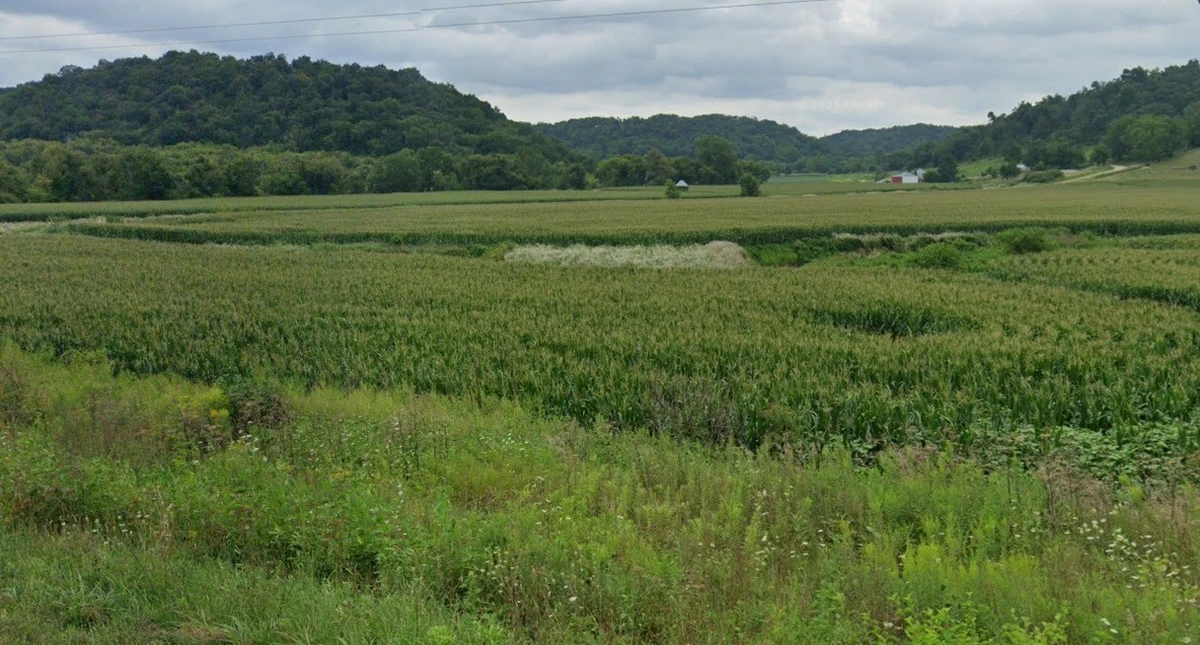 Mawai, Madhya Pradesh 464570, India