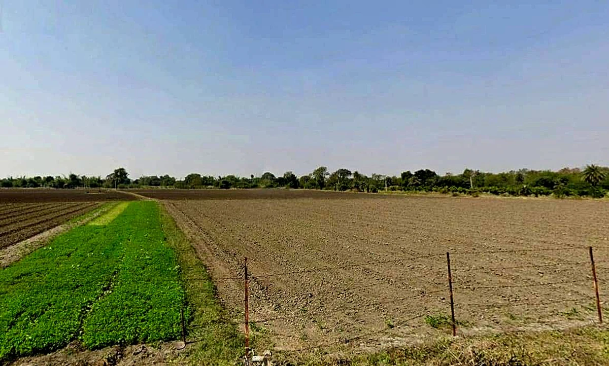 RQJM+F8F, Kharwa Khedi, Madhya Pradesh 453111, India