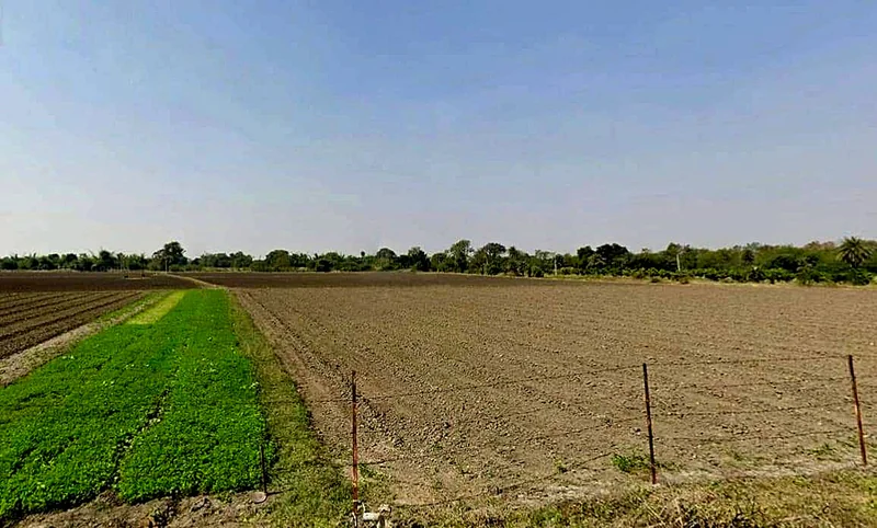 RQJM+F8F, Kharwa Khedi, Madhya Pradesh 453111, India preview 3