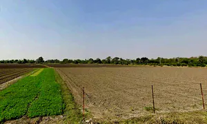 RQJM+F8F, Kharwa Khedi, Madhya Pradesh 453111, India preview 3