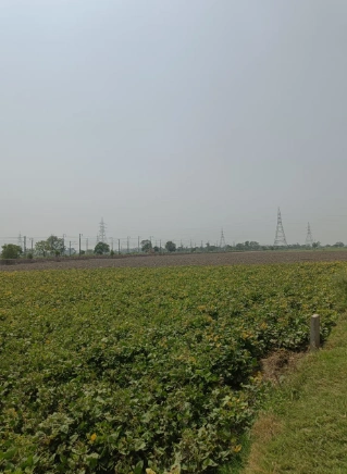 Chidoriya Padrat, Vidisha, Madhya Pradesh 464001, India