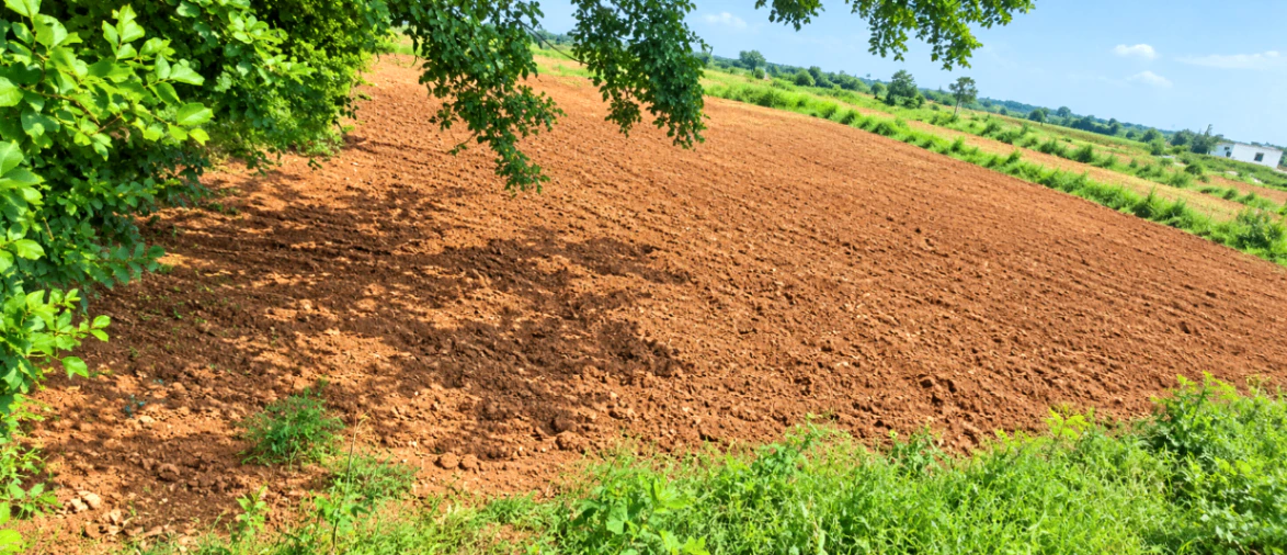 M6QC+WX Macherla, Sangareddy, Telangana, India - Photo 3