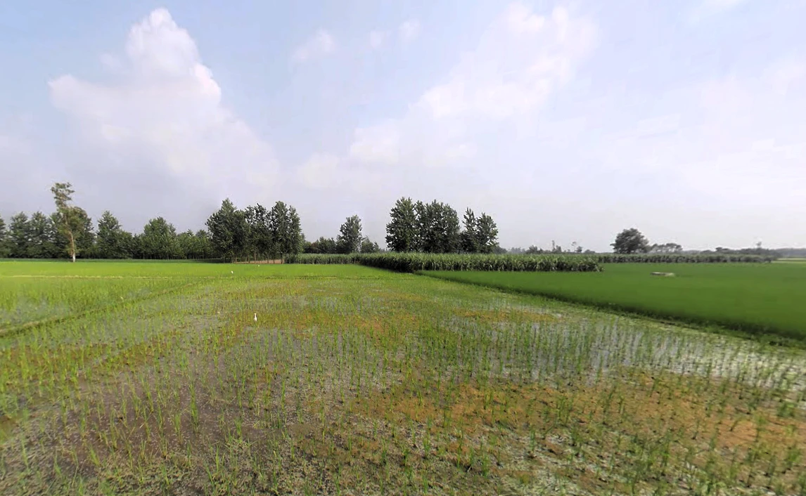 Nakur, Uttar Pradesh 247342, India