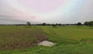 Laksar, Uttarakhand 247663, India preview 3