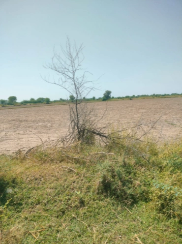 JGGX+PFG, Jaipur, Sultaniya, Rajasthan 303005, India