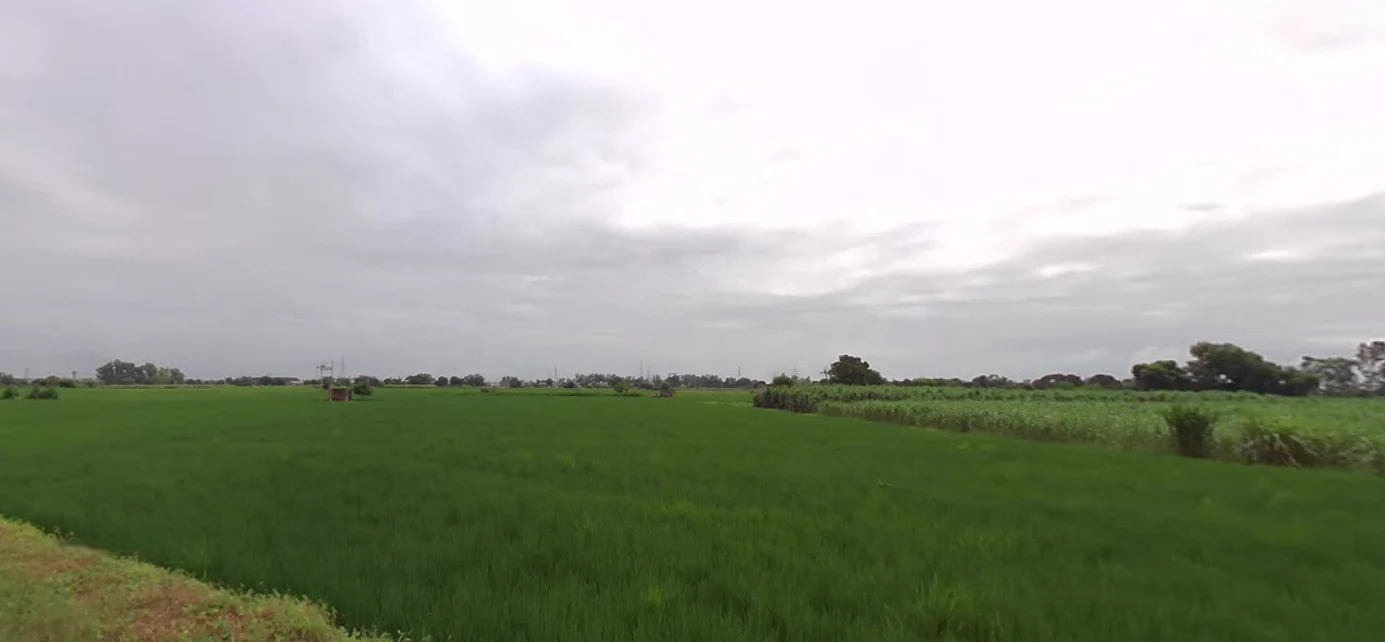 Samalkha, Haryana, India