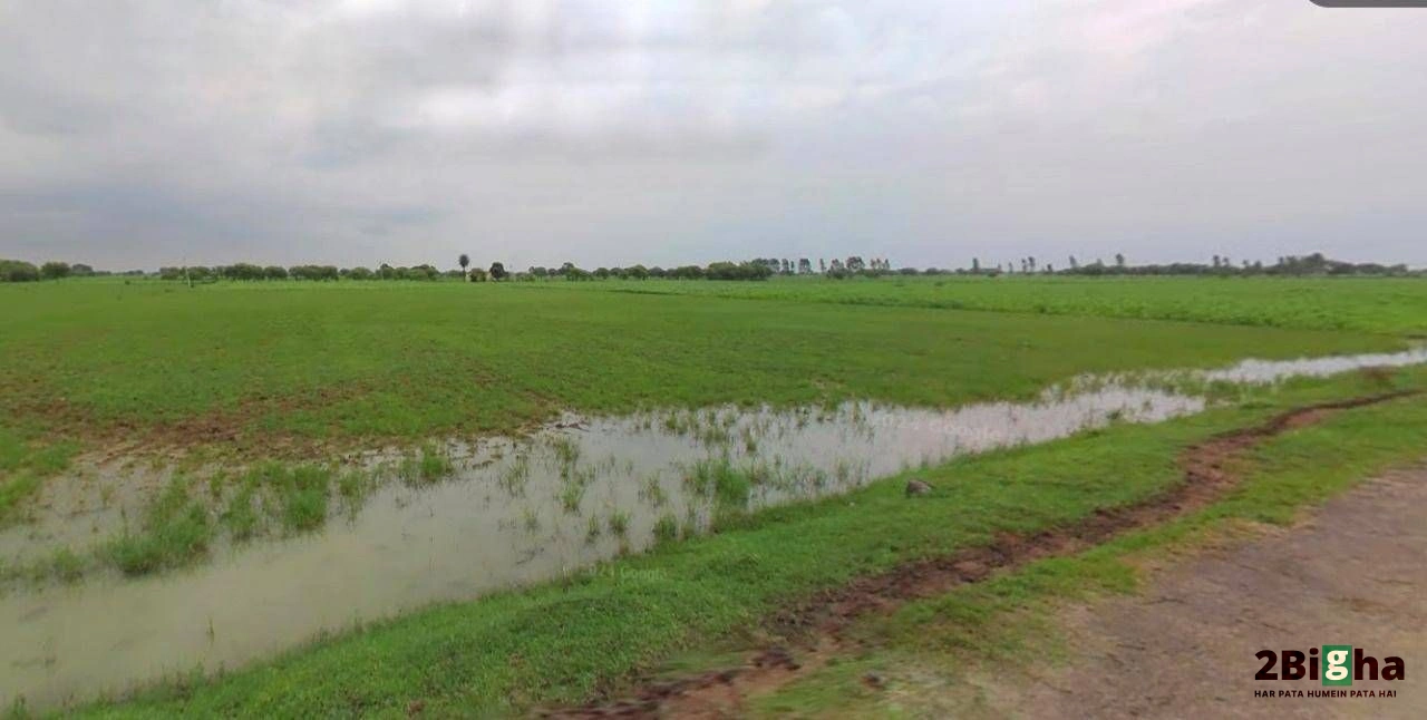 CX2M+VCH, Kherki Daula, Sector 84, Gurugram, Haryana 122012, India