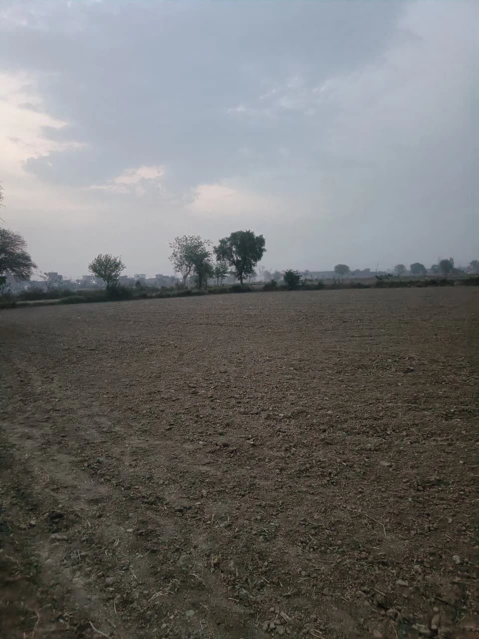 V665+2PM, Jaipur, Phulera, Baghpura, Rajasthan 303338, India