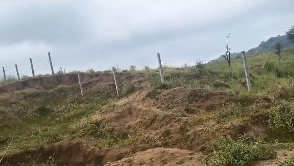 FJ35+6JH, Sikar, Shrimadhopur, Rajasthan 332715, India