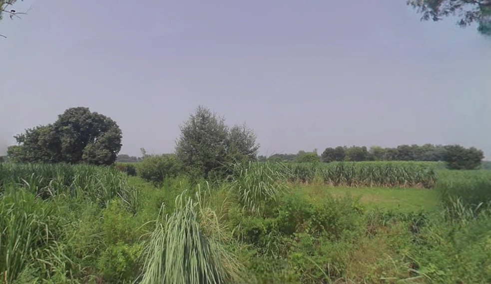 Lalpur, Uttar Pradesh, India