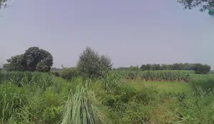 Lalpur, Uttar Pradesh, India preview 2