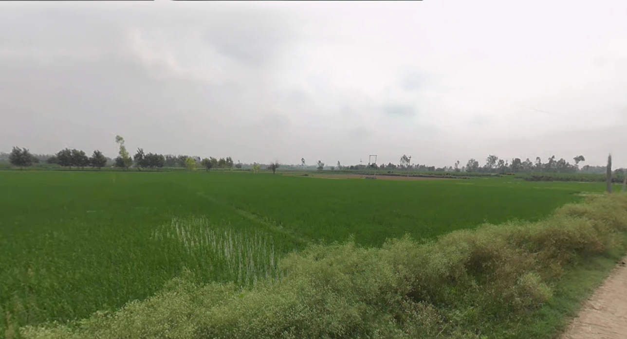 Bilsanda, Uttar Pradesh 262202, India