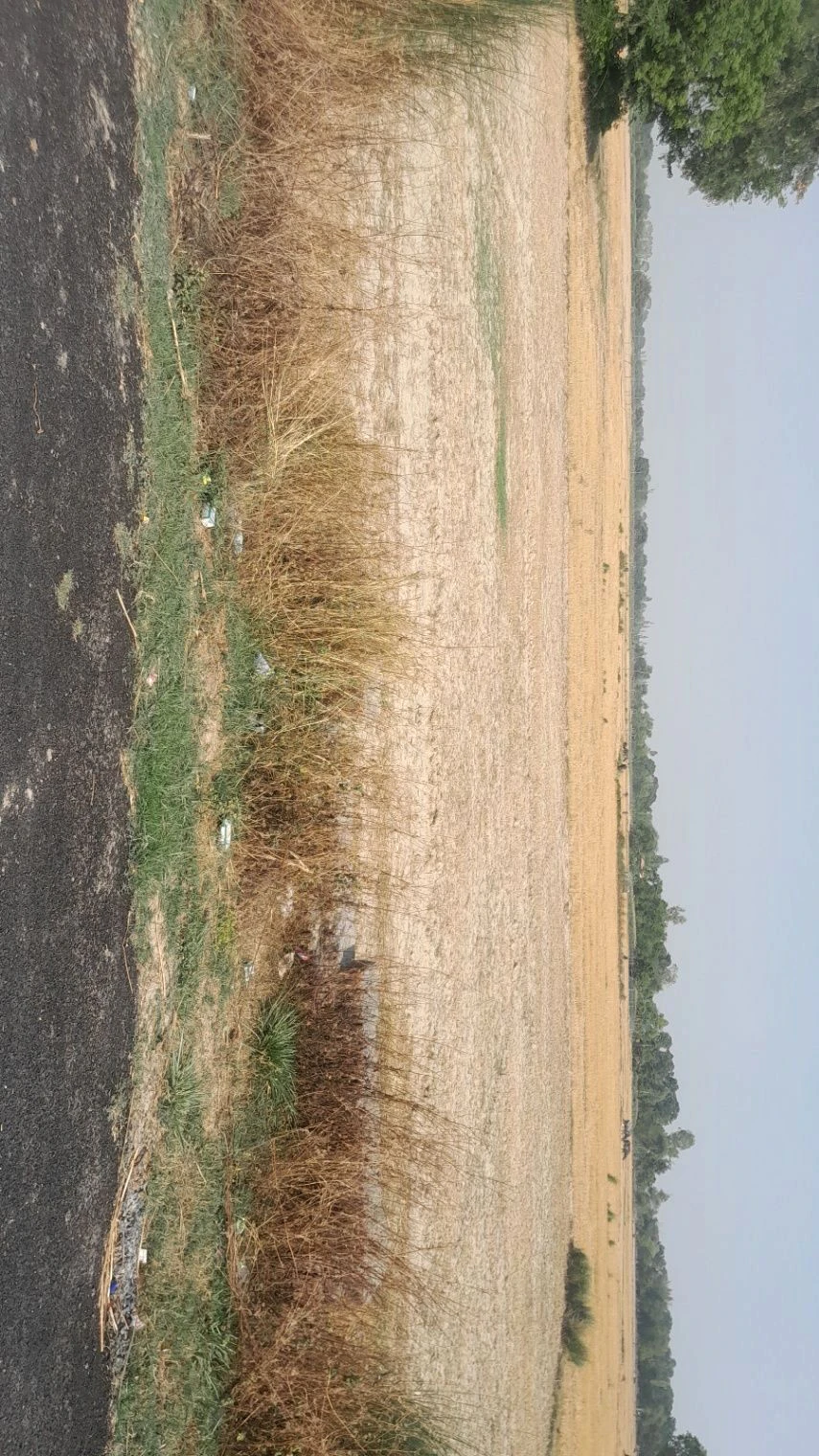 P5M8+P7 Chandpur Harbanshpur, Uttar Pradesh, India