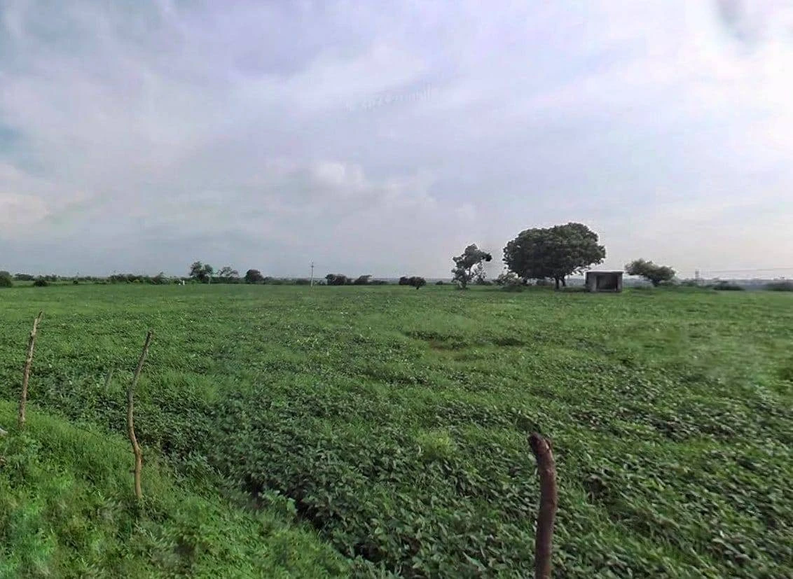 J7P4+Q8 Chak Makheeda, Rajasthan, India