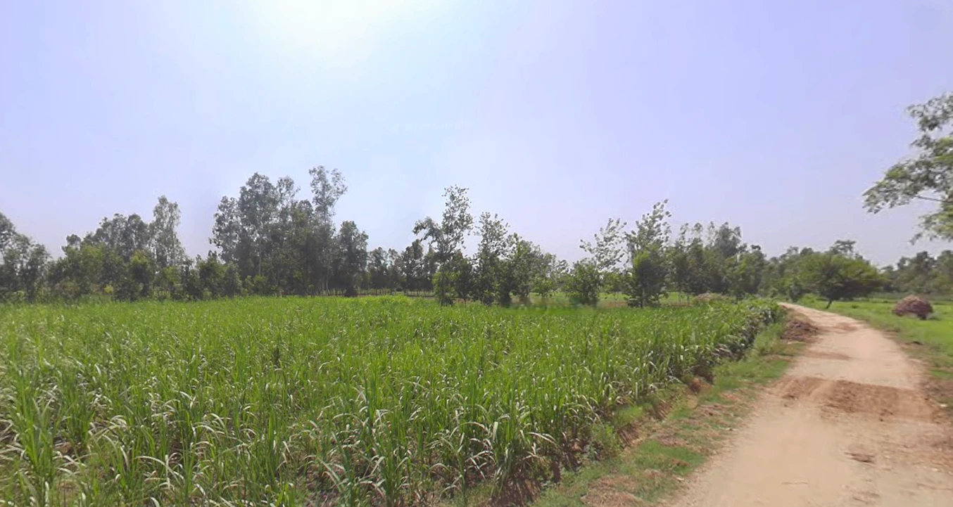Hasanpur, Uttar Pradesh 244241, India