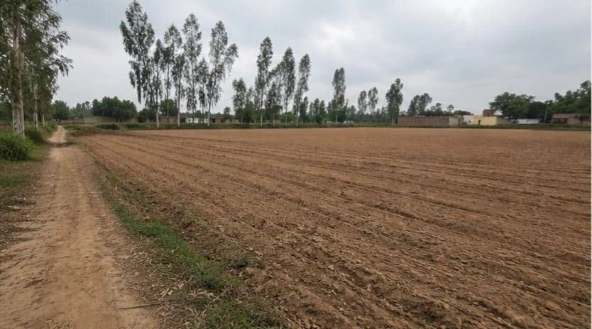 Barhana, Uttar Pradesh, India