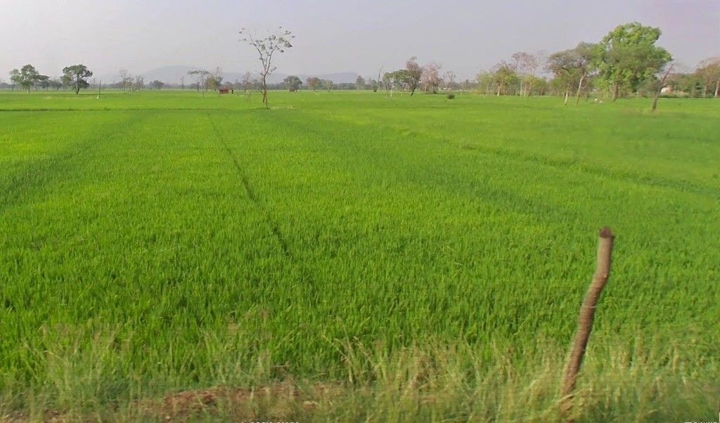 Kotni, Chhattisgarh 493441, India preview 2