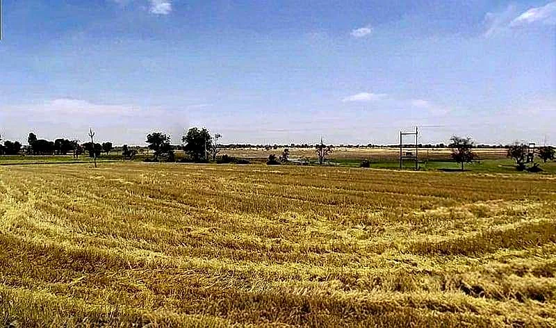 Lakhakhedi Naharpur, Madhya Pradesh 456443, India preview 6