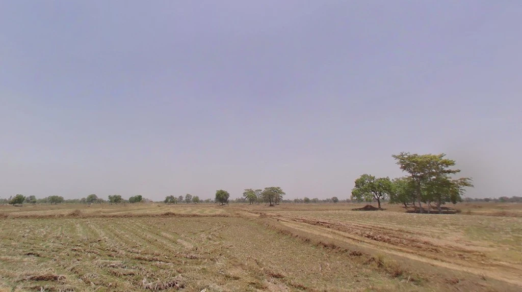 Khorpa, Chhattisgarh 493661, India