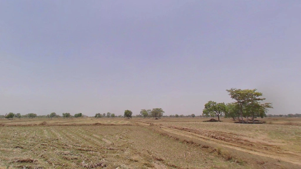 Khorpa, Chhattisgarh 493661, India