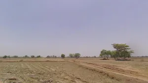 Khorpa, Chhattisgarh 493661, India preview 3