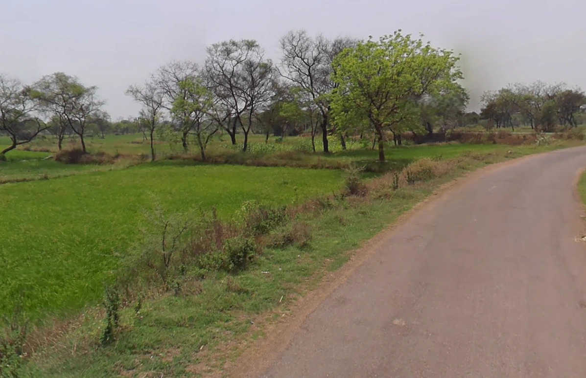 Wadsa, Chhattisgarh 494665, India