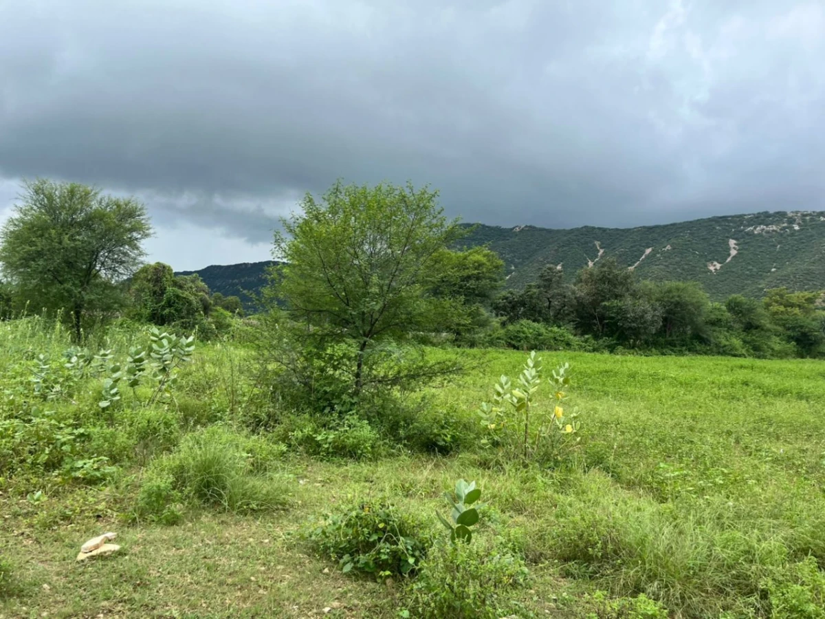 2PPW+P7 Basant Bihar, Rajasthan, India