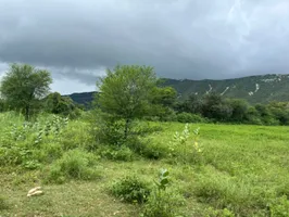 2PPW+P7 Basant Bihar, Rajasthan, India preview 3