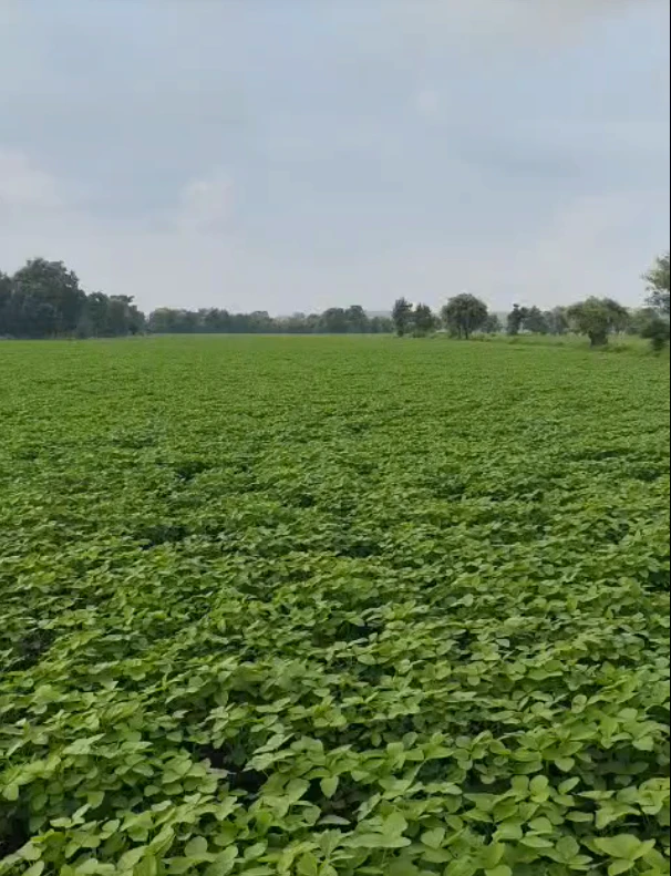 GHUMKA, Rajnandgaon, Chhattisgarh 491444, India