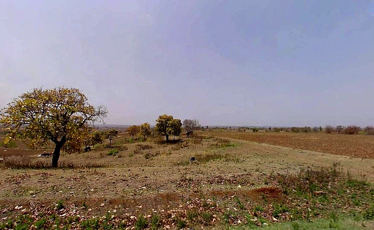 Sawari, Madhya Pradesh, India