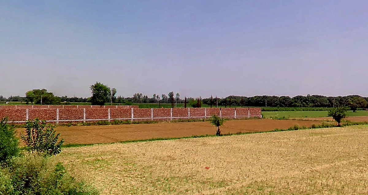 Jhande, Punjab, India