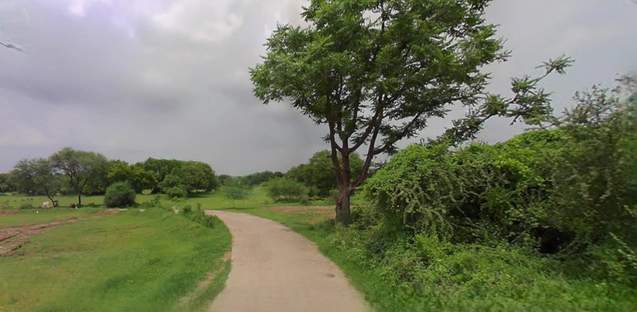 Barnagar, Madhya Pradesh 456771, India