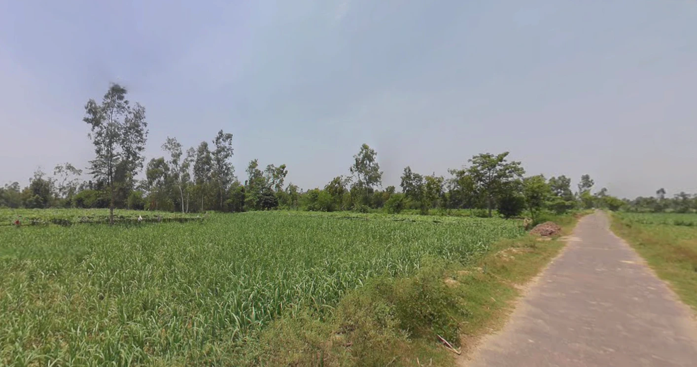 Dhanaura, Uttar Pradesh 244231, India