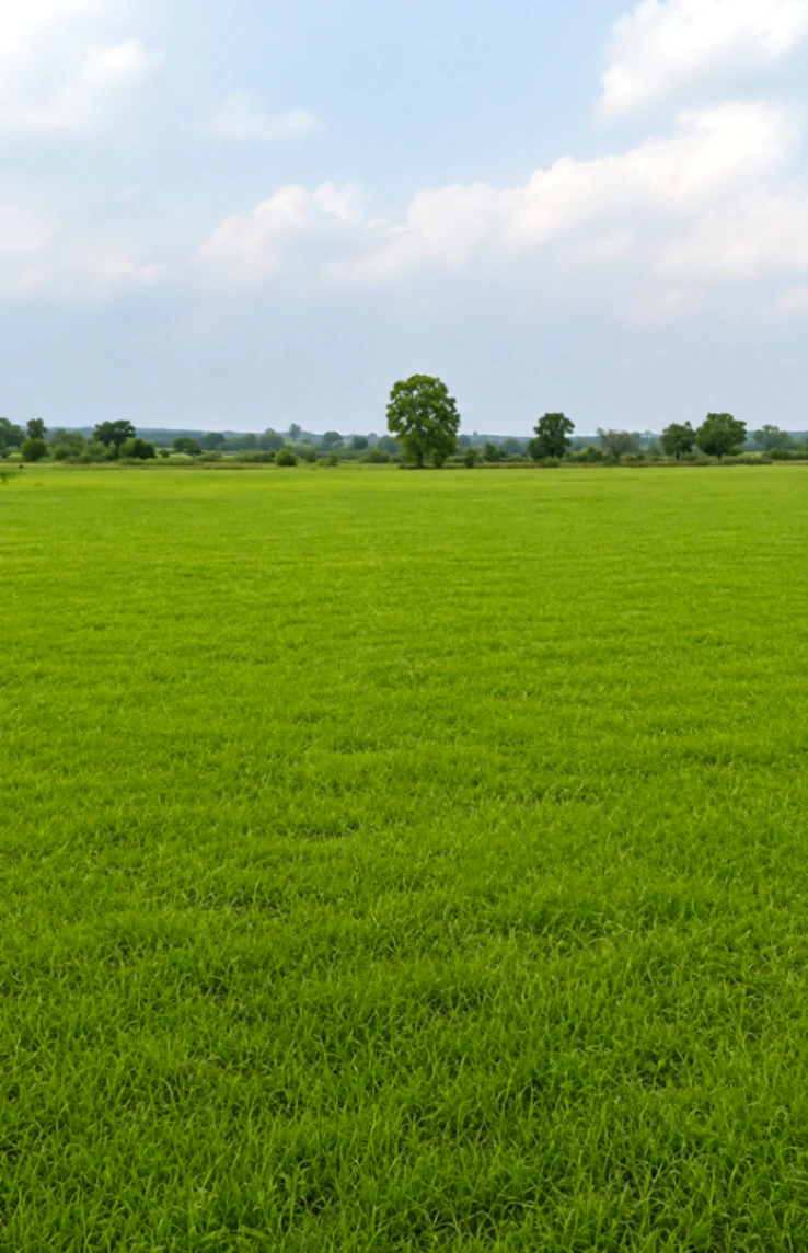 Aurangnagar, Bhiwani, Haryana, India