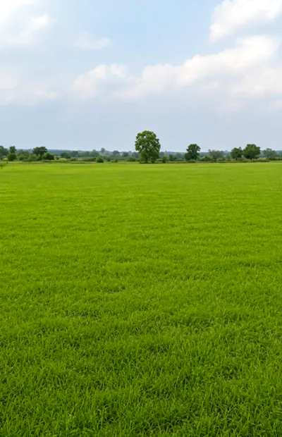 Aurangnagar, Bhiwani, Haryana, India preview 3