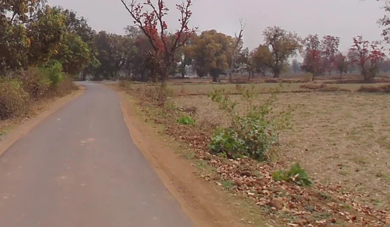 Sendri, Bilaspur, Chhattisgarh, India preview 3