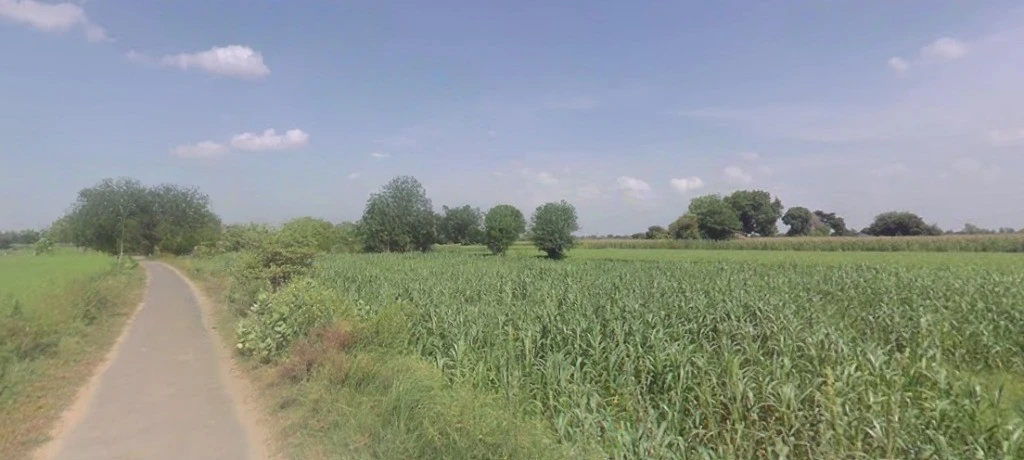 Kol, Uttar Pradesh, India