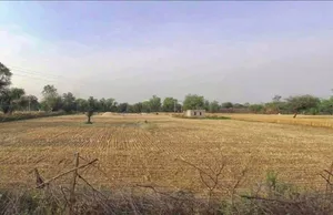 Nathdwara Rd, Nathdwas, Nathdwara, Rajasthan 313301, India preview 2