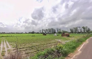 33XP+PR5, Amoli, Rajasthan 321407, India preview 3