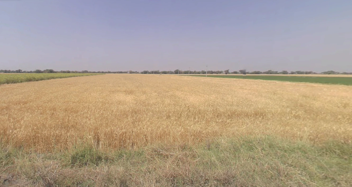 Gigasan, Gujarat 365640, India