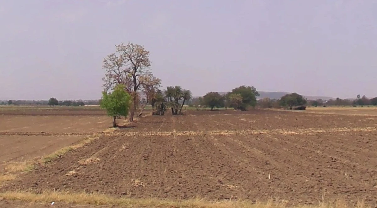 Karadiya, Madhya Pradesh 453001, India