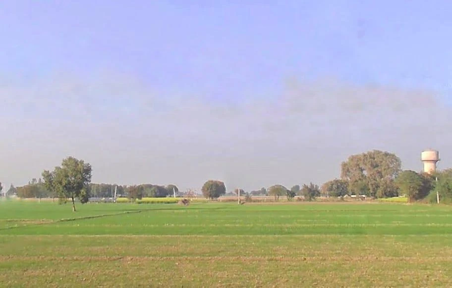 Ghoghrian, Haryana 126115, India