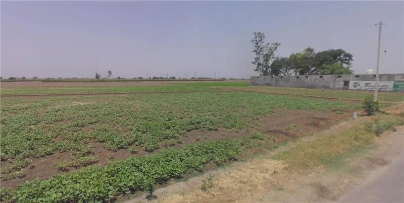 Chamyari, Punjab 143103, India