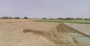 Panipat, Haryana, India preview 2