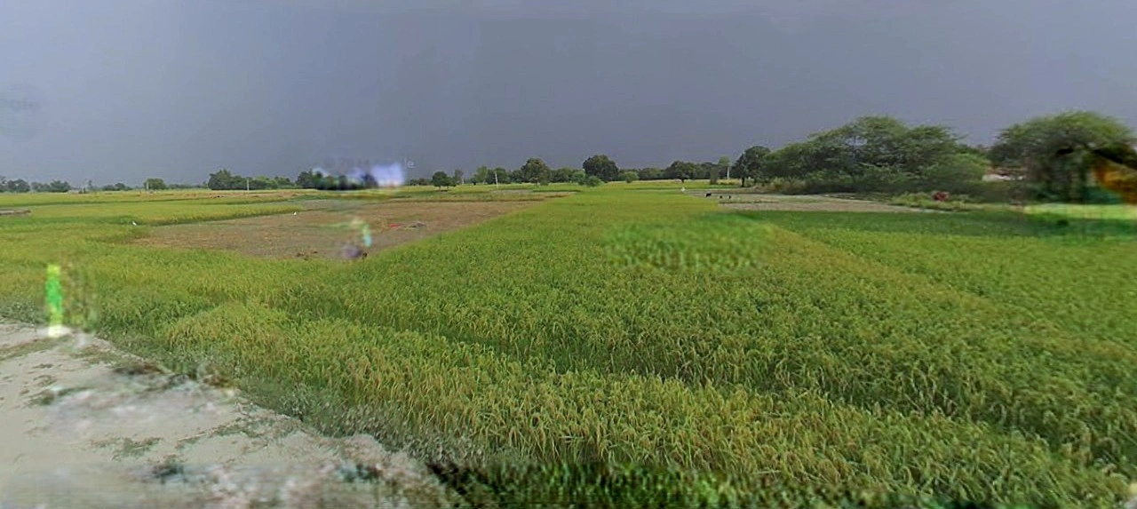 Ujjain, Madhya Pradesh, India