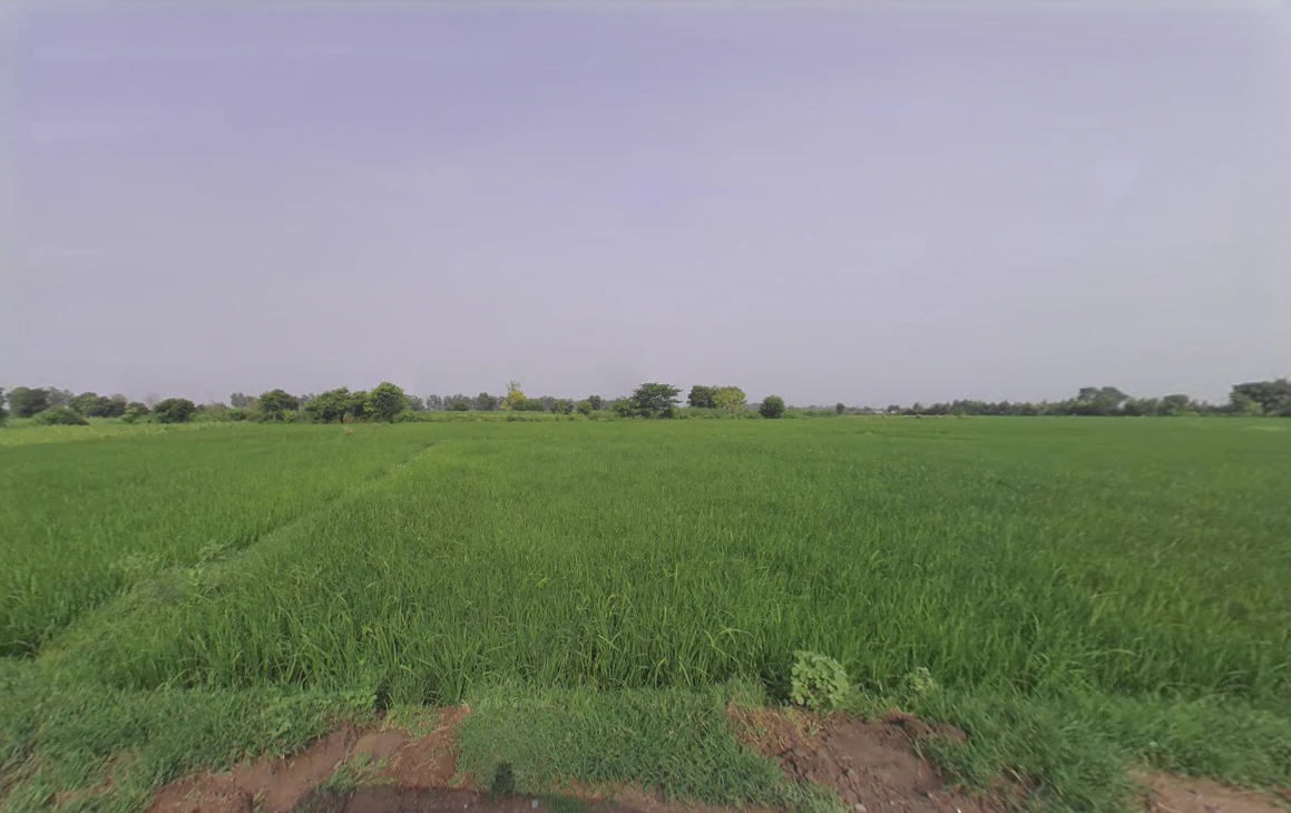 Badoli, Haryana 121102, India