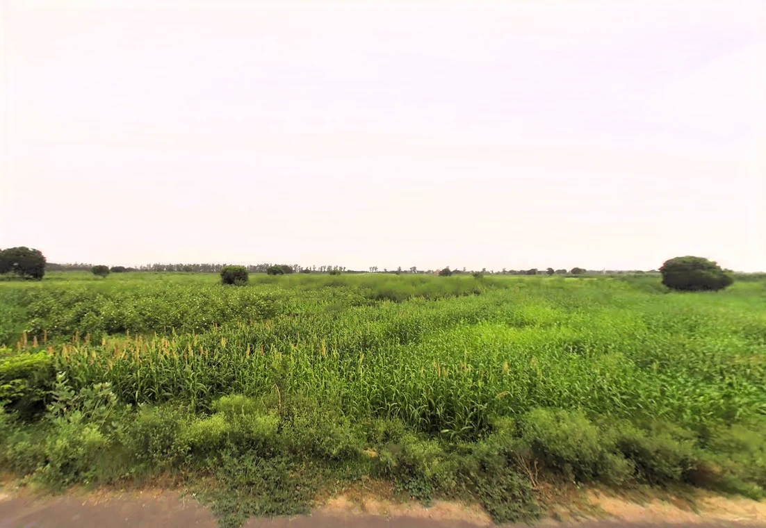 Saveli, Haryana 121105, India preview 2